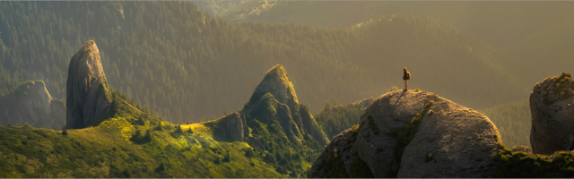 Slimmere digitale oplossingen met AI
