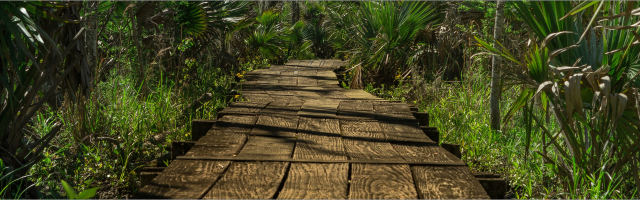 Maatwerk webshops die jouw bedrijf laten groeien